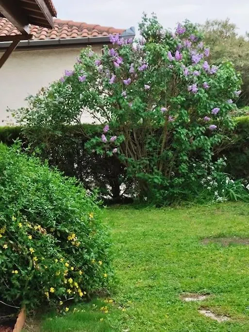 Maison Medicis - T5 Spacieuse Et Calme En Ville - Emplacement Ideal 圖盧茲 公寓